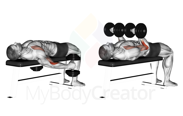 Lying Supine Dumbbell Curl