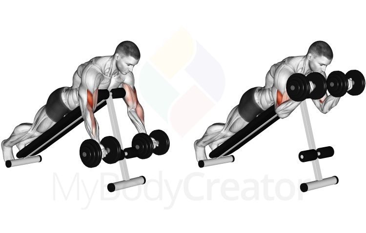 Dumbbell Prone Incline Curl