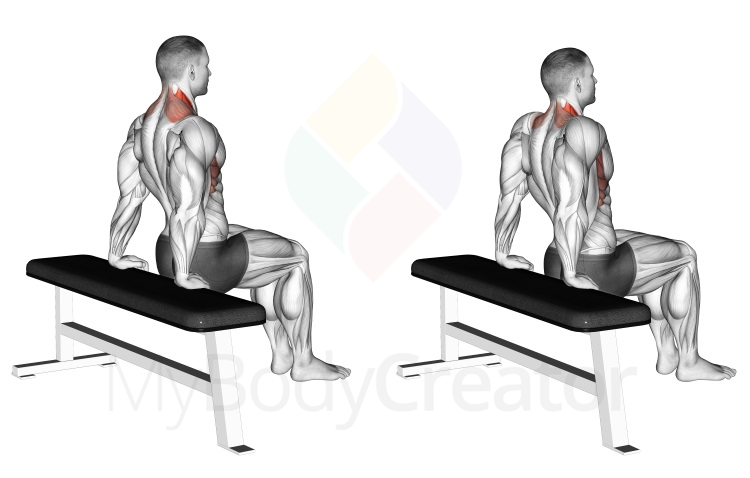 Scapula Dips