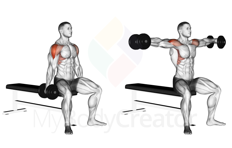 Dumbbell Seated Lateral Raise