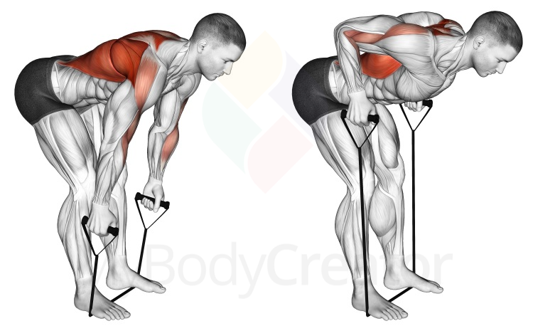 Band Bent-over Row