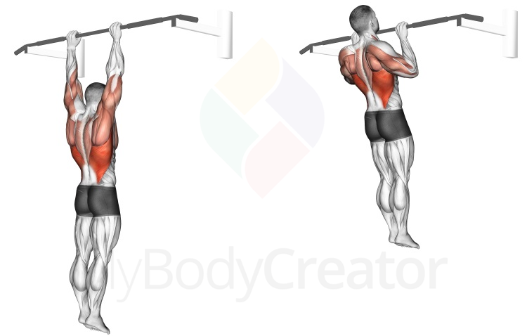 Pull-up (shoulder grip)