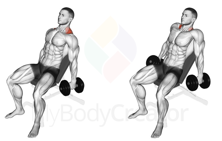 Dumbbell Incline Shrug