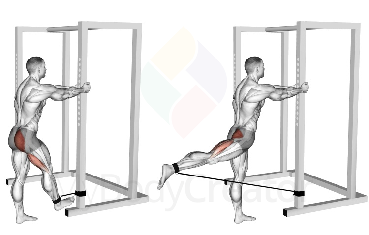 Band Standing Hip Extension