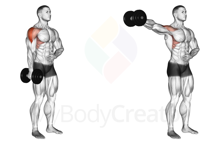 Dumbbell One Arm Lateral Raise