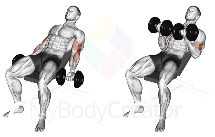 Dumbbell Incline Curl