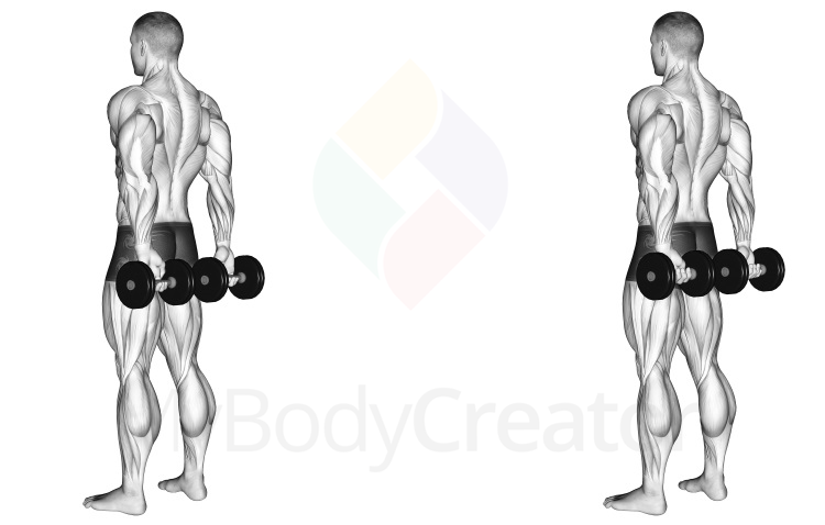 Dumbbell Behind Back Wrist Curl