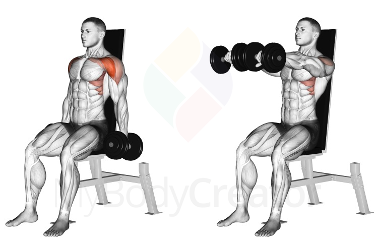 Dumbbell Seated Front Raise