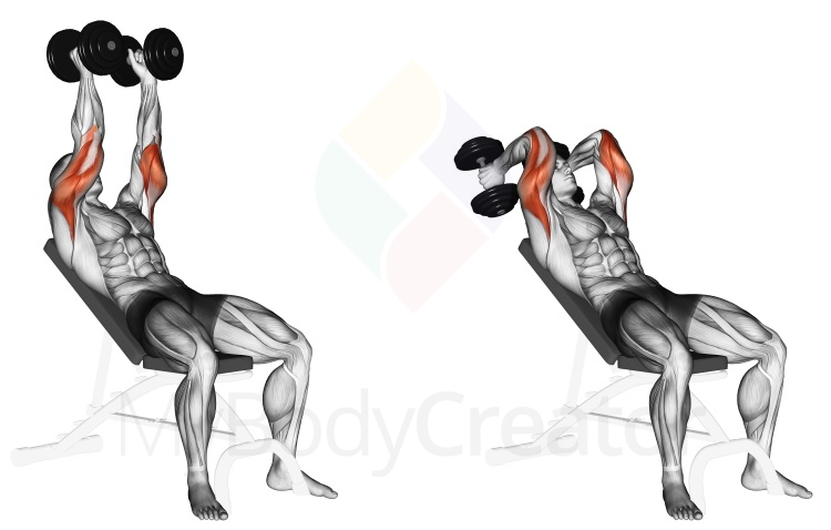 Dumbbell Incline Triceps Extension