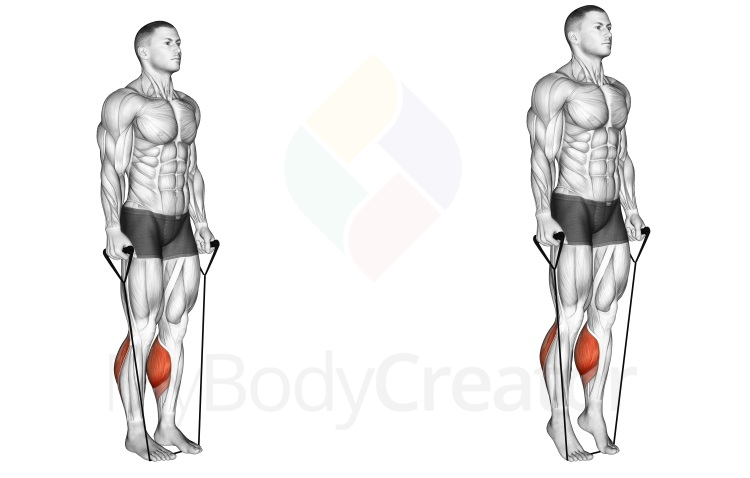 Band Standing Calf Raise