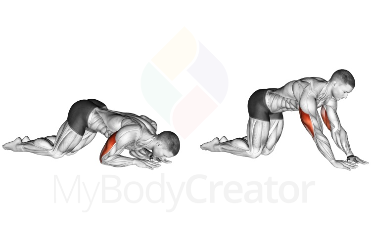 Stretching - Kneeling Triceps Extension