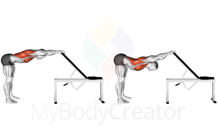 Stretching - Back Pec Stretch