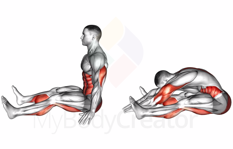 Разтягане - Привеждане напред на торса от седеж