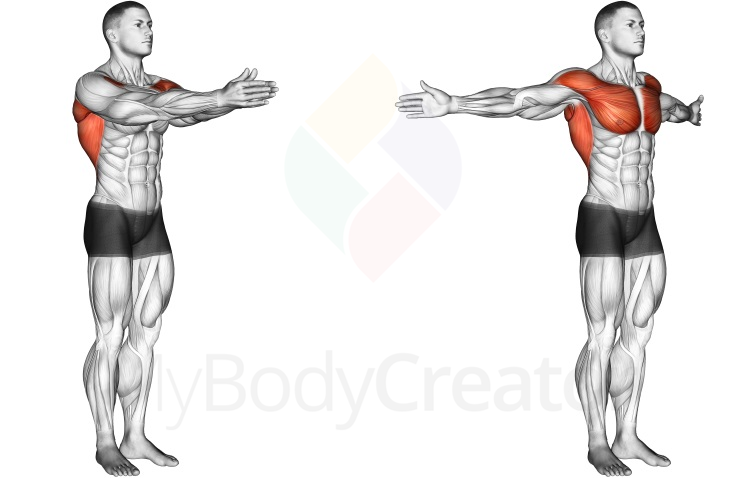 Stretching - Dynamic Chest Stretch