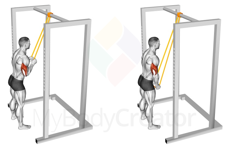 Band Side Triceps Pushdown