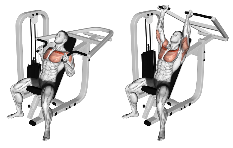 Lever Incline Hammer Chest Press