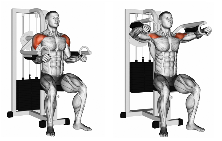 Lever Lateral Raise